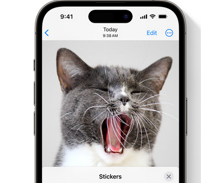 丹江口苹果电脑维修分享iOS17中的贴纸功能是什么 